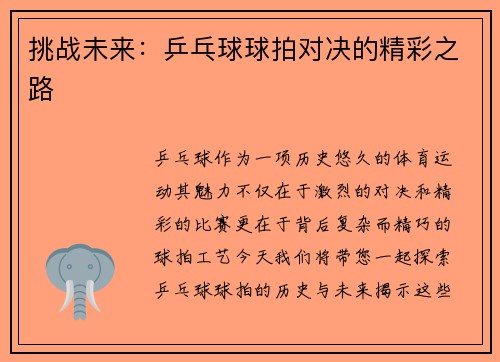 挑战未来：乒乓球球拍对决的精彩之路